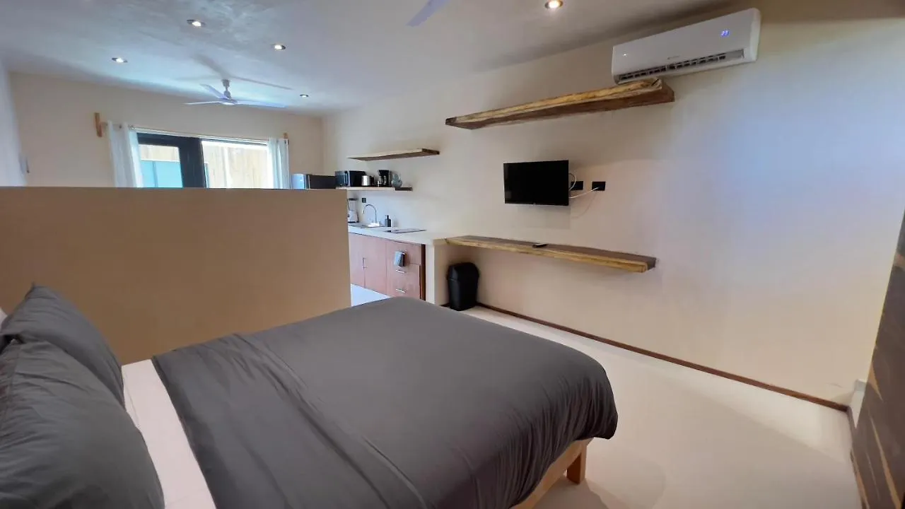 Family & Couples Harmonia Suites In 툴룸
